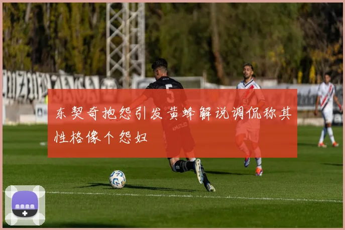 东契奇抱怨引发黄蜂解说调侃称其性格像个怨妇