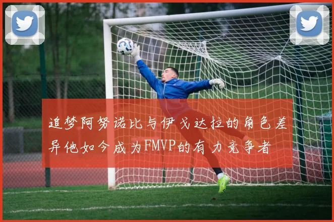 追梦阿努诺比与伊戈达拉的角色差异他如今成为FMVP的有力竞争者
